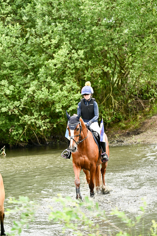 Goldene Schärpe Pferfde in Löningen 2026 | 12062026Wasserdurchritt_083 