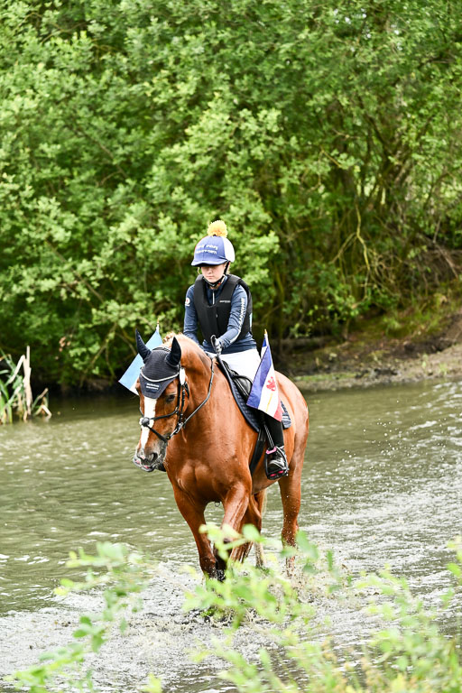 Goldene Schärpe Pferfde in Löningen 2026 | 12062026Wasserdurchritt_084 