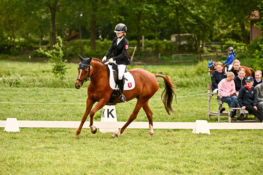  | 05062026 Dressur 2_0031 