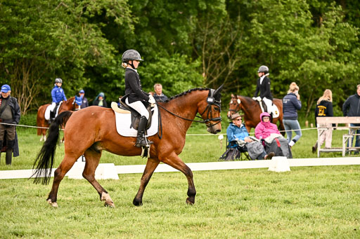  | 05062026 Dressur 2_0063 