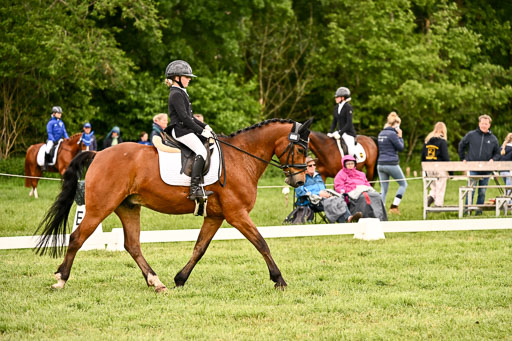  | 05062026 Dressur 2_0064 