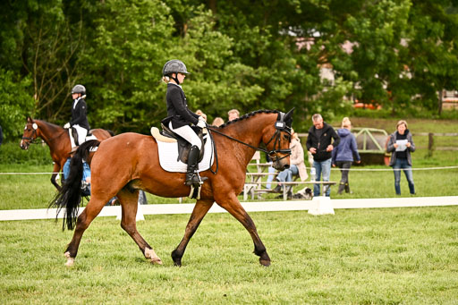  | 05062026 Dressur 2_0065 