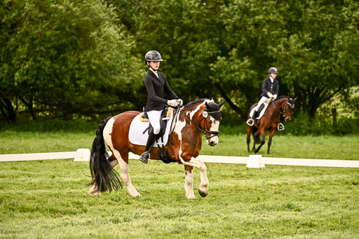  | 05062026 Dressur 2_0075 