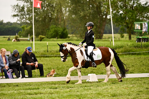  | 05062026 Dressur 2_0081 
