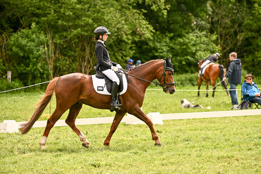  | 05062026 Dressur 2_0094 