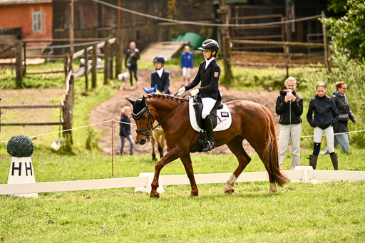  | 05062026 Dressur 2_0095 