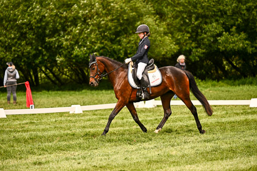  | 05062026 Dressur 2_0096 