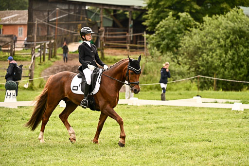  | 05062026 Dressur 2_0110 