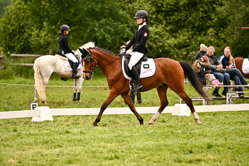  | 05062026 Dressur 2_0153 