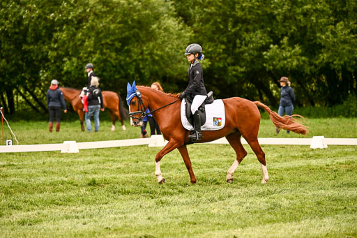  | 05062026 Dressur 2_0191 