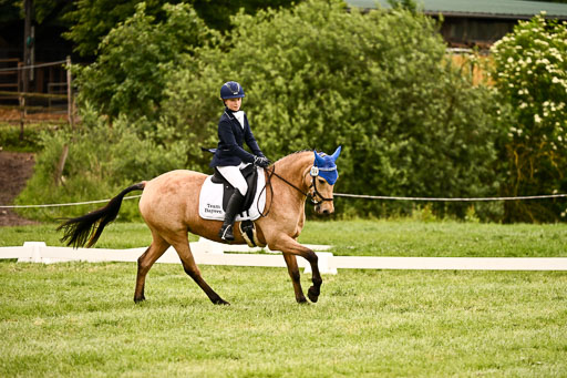  | 05062026 Dressur 2_0195 