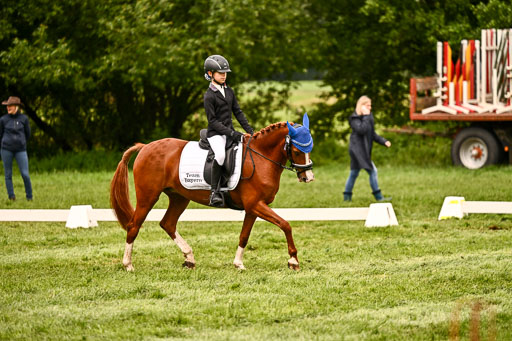  | 05062026 Dressur 2_0201 
