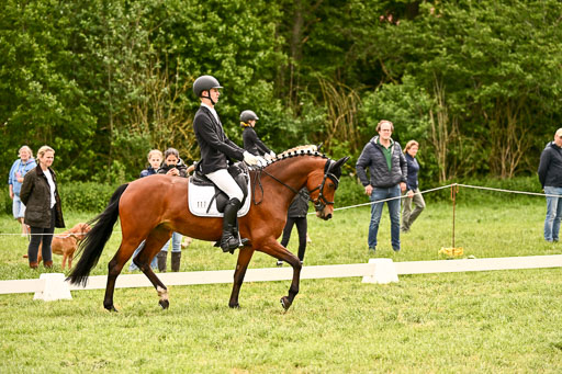  | 05062026 Dressur 2_0216 