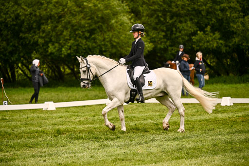  | 05062026 Dressur 2_0228 