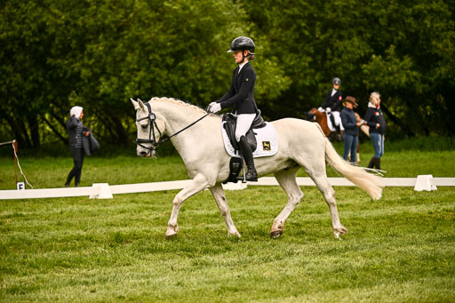  | 05062026 Dressur 2_0229 