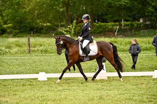  | 05062026 Dressur 2_0276 