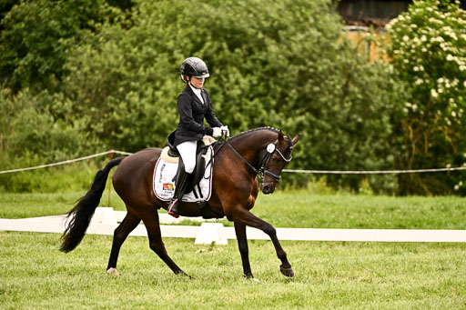  | 05062026 Dressur 2_0282 