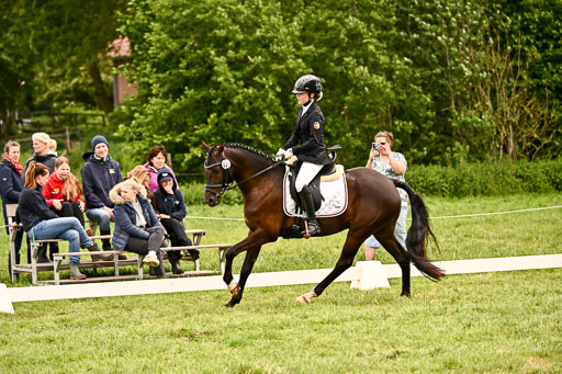  | 05062026 Dressur 2_0290 