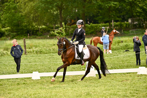  | 05062026 Dressur 2_0292 