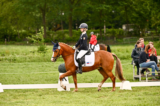  | 05062026 Dressur 2_0353 