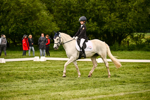  | 05062026 Dressur 2_0357 