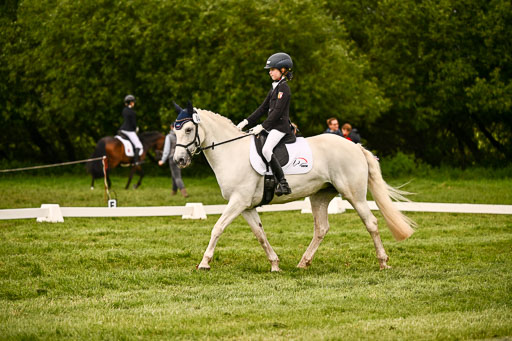  | 05062026 Dressur 2_0358 