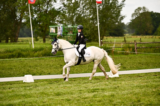 | 05062026 Dressur 2_0375 