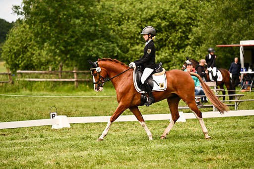  | 05062026 Dressur 2_0399 