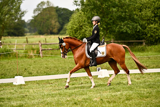  | 05062026 Dressur 2_0400 