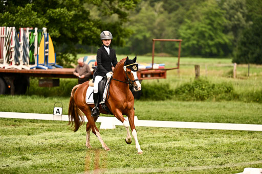  | 05062026 Dressur 2_0415 