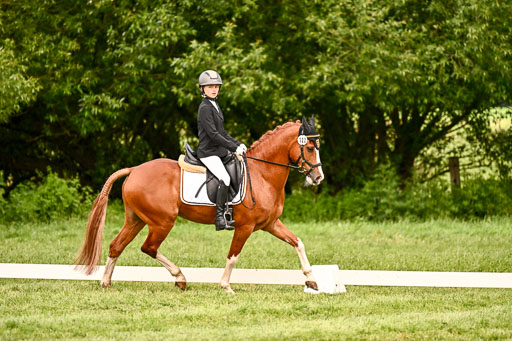  | 05062026 Dressur 2_0422 
