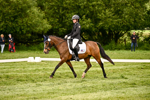  | 05062026 Dressur 2_0436 