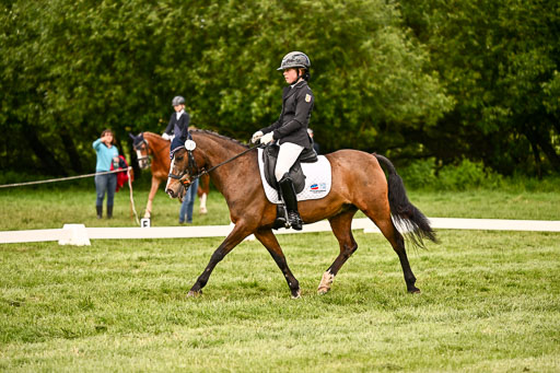  | 05062026 Dressur 2_0437 