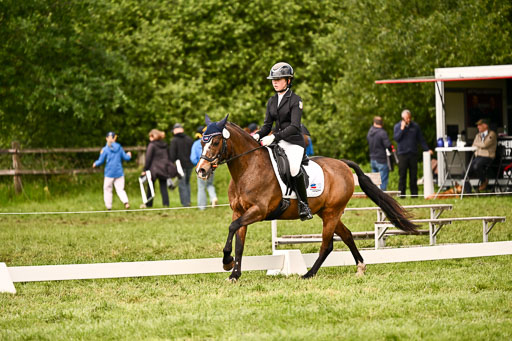  | 05062026 Dressur 2_0451 