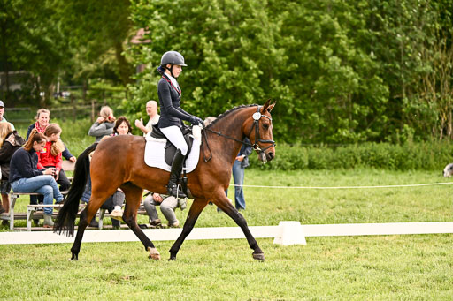  | 05062026 Dressur 2_0458 