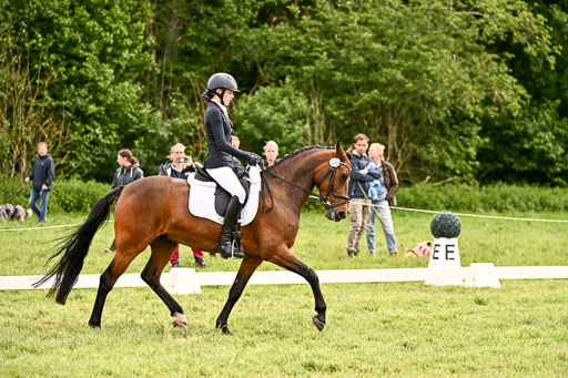  | 05062026 Dressur 2_0460 