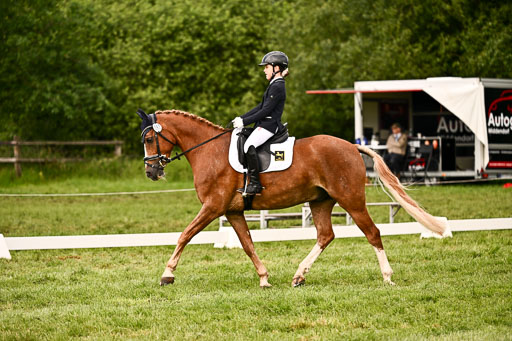  | 05062026 Dressur 2_0476 