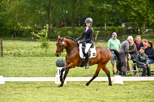  | 05062026 Dressur 2_0483 
