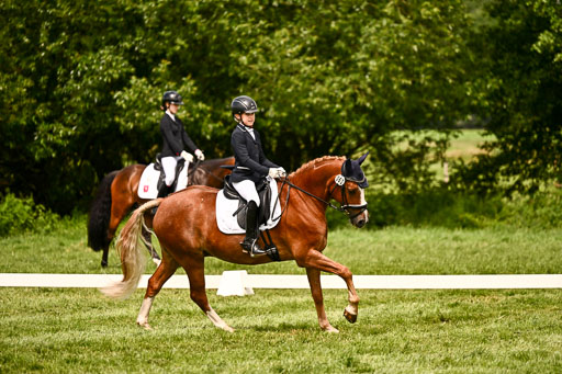  | 05062026 Dressur 2_0488 