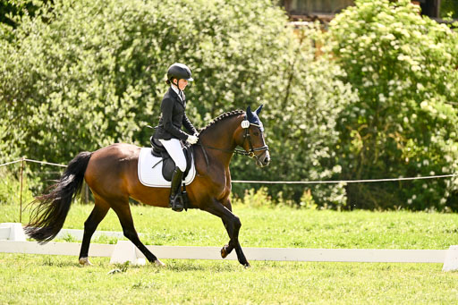  | 05062026 Dressur 2_0503 