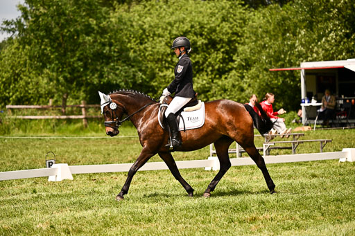  | 05062026 Dressur 2_0509 