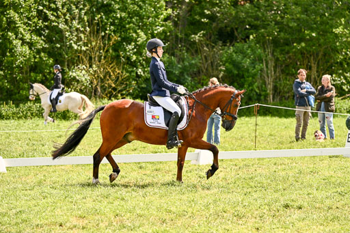  | 05062026 Dressur 2_0523 