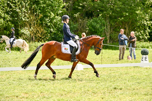 | 05062026 Dressur 2_0524 