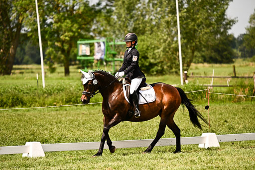  | 05062026 Dressur 2_0529 