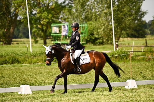  | 05062026 Dressur 2_0530 