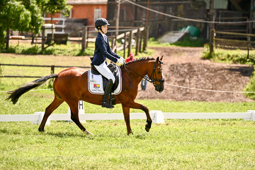  | 05062026 Dressur 2_0532 