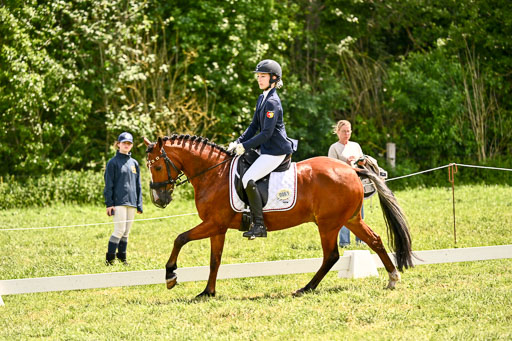  | 05062026 Dressur 2_0537 
