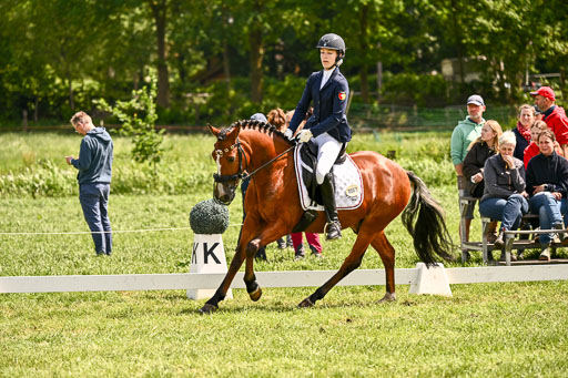  | 05062026 Dressur 2_0538 