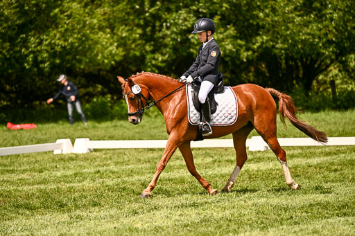  | 05062026 Dressur 2_0545 