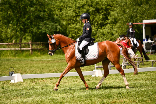  | 05062026 Dressur 2_0546 